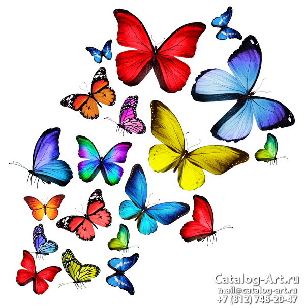  Butterflies 24